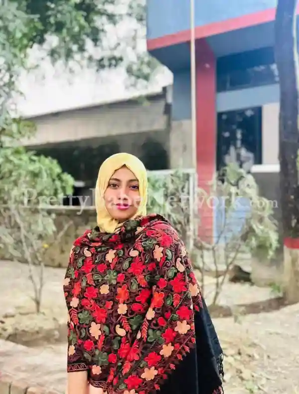 Meet High-Profile Noida Muslim Escort Noor for Amazing Sex Appeal